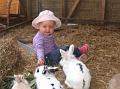 Sofia i  FarmFun 101